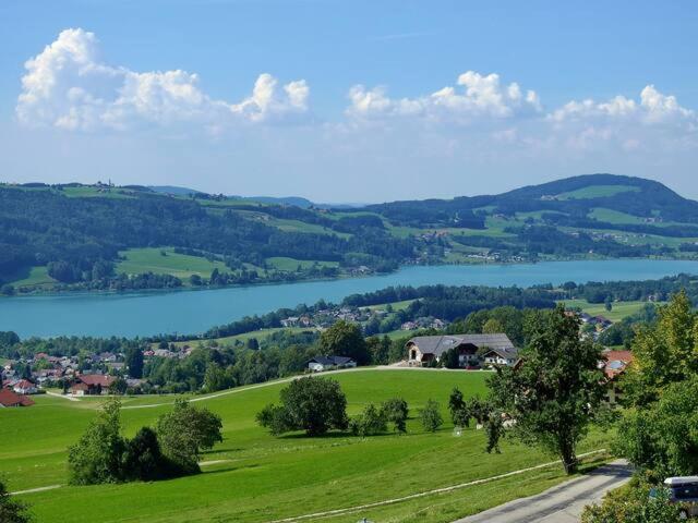 Wunderschoene Ferienwohnung Mit Seeblick Zell am Moos Exterior foto